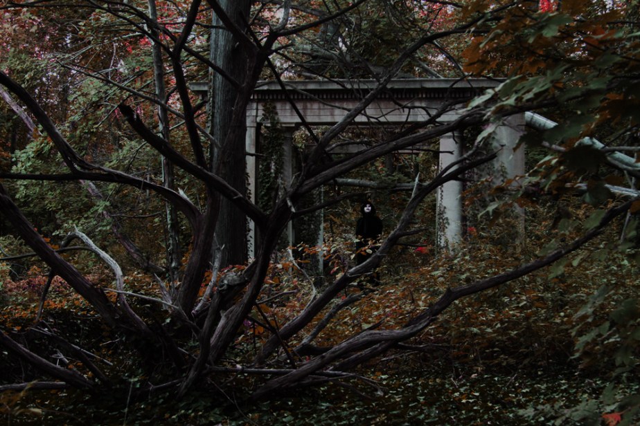 kodama