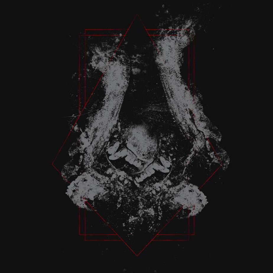 19961612_1515550431800355_6630815849073940083_n